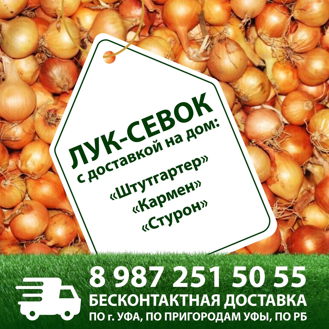 0cf74e1b-a2e1-4876-983b-015b4fd51fdd