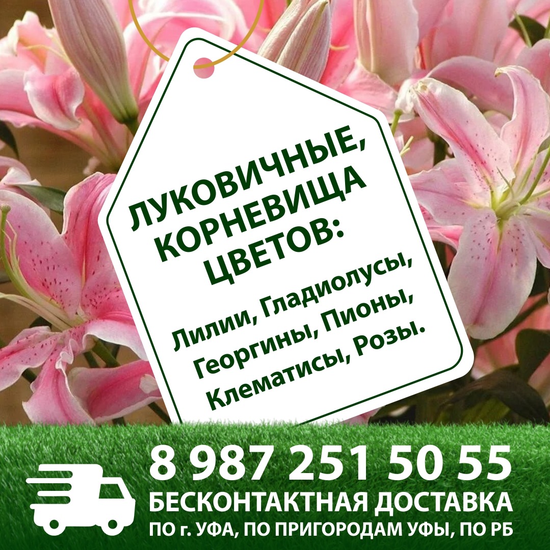 45a88d51-65d3-4b17-84f6-cc285577340b