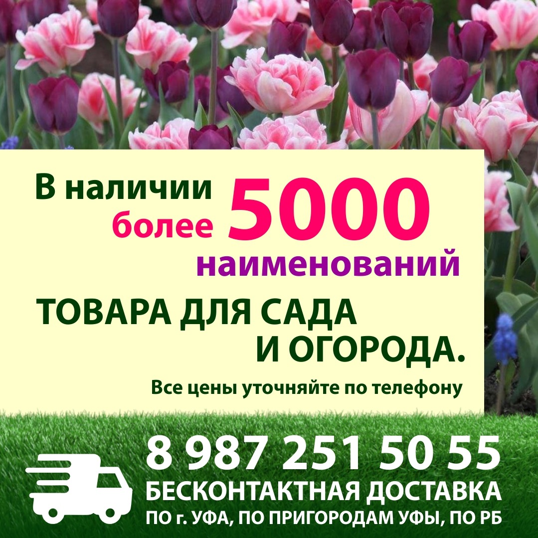 a52a9783-941b-4e36-ad97-07a777f9c30f